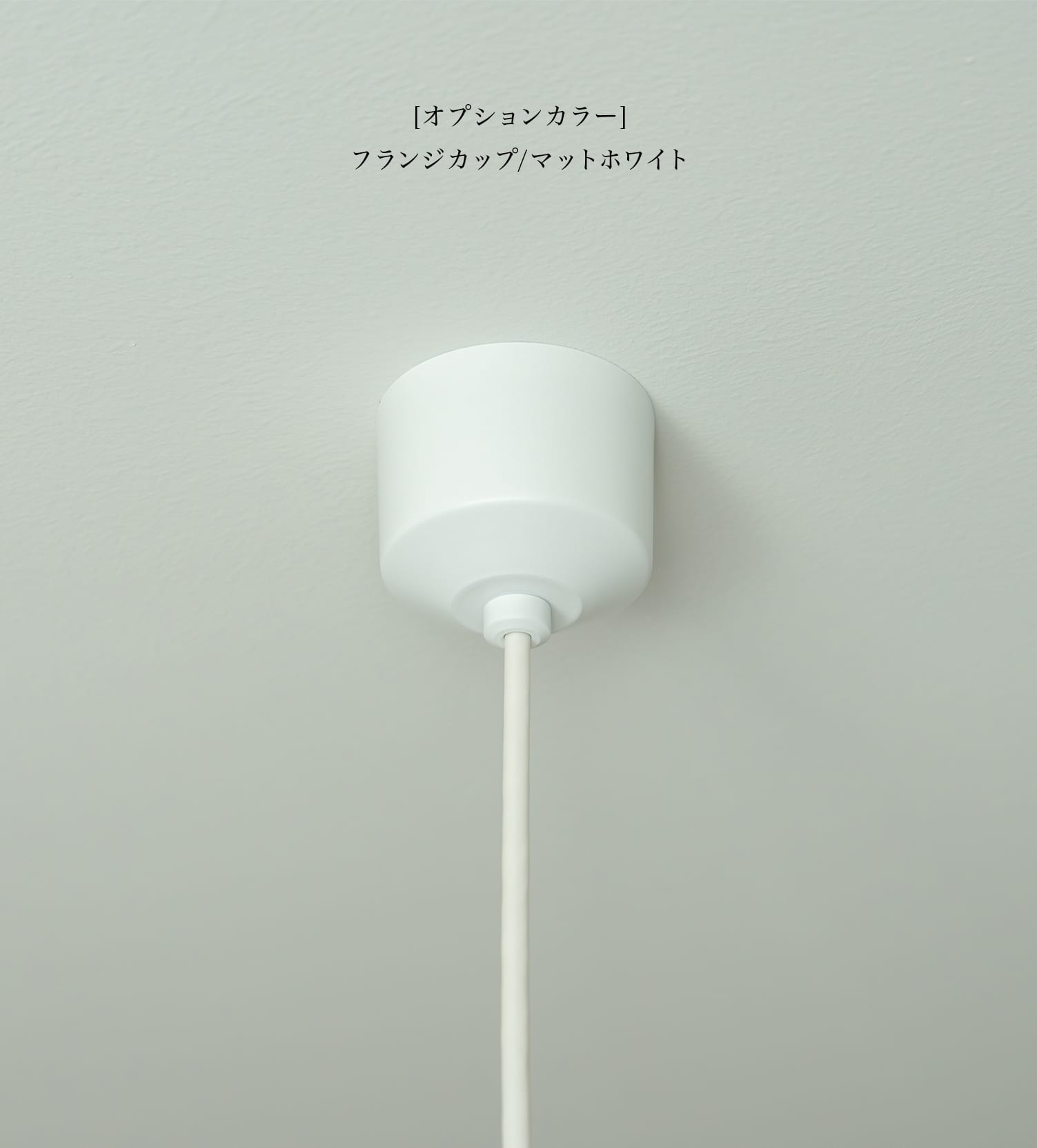 Links-type.Hare [brass/soji]